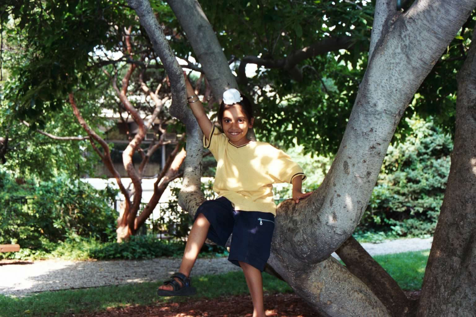 sp2002picnic 18