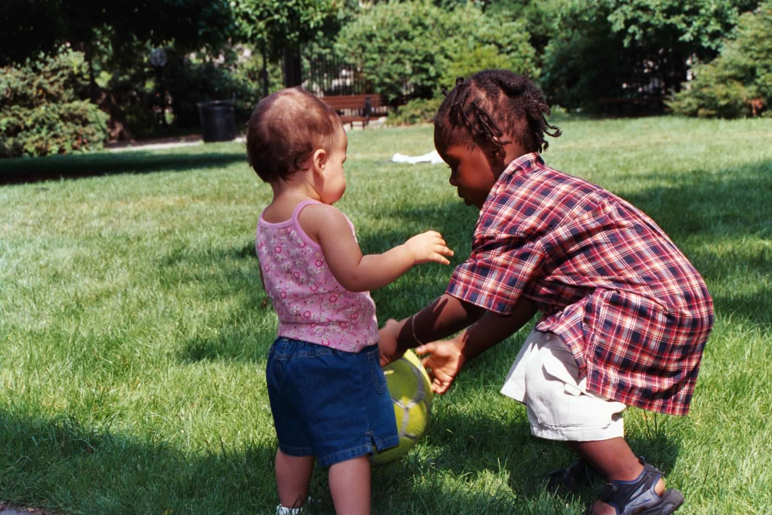 sp2002picnic 52